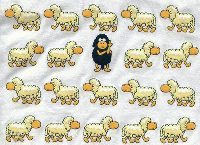 1675Moutons